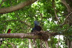 DSC_9074.JPG